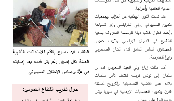 صوت الوطن عدد 25 صوت الوطن عدد 25