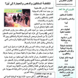 صوت الوطن عدد 11