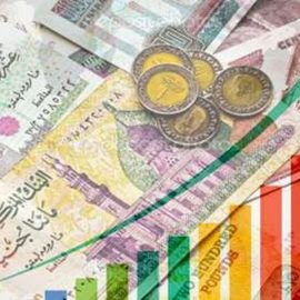 قوانين المالية والمخططات التنموية