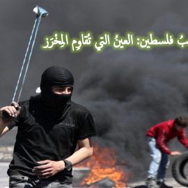 شعبُ فلسطين: العينُ التي تُقاوِم المِخْرَز