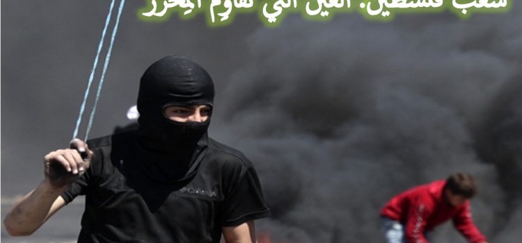 شعبُ فلسطين: العينُ التي تُقاوِم المِخْرَز