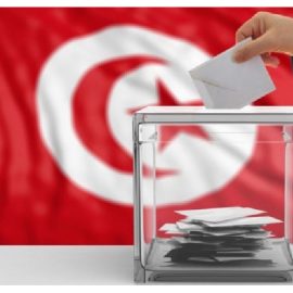 انتخابات تشريعية في إطار السيادة الوطنية.. أول شروط الديمقراطية  