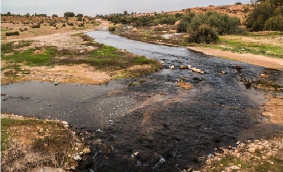 الوضع البيئي في مدنين يراوح مكانه في انتظار سياسة بيئية أكثر فاعلية